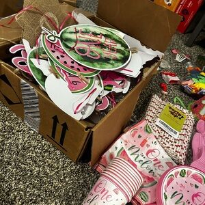 Huge lot One in a melon Watermelon Party Supplies stuff